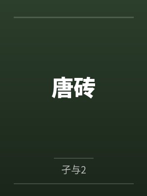 唐砖 唐砖